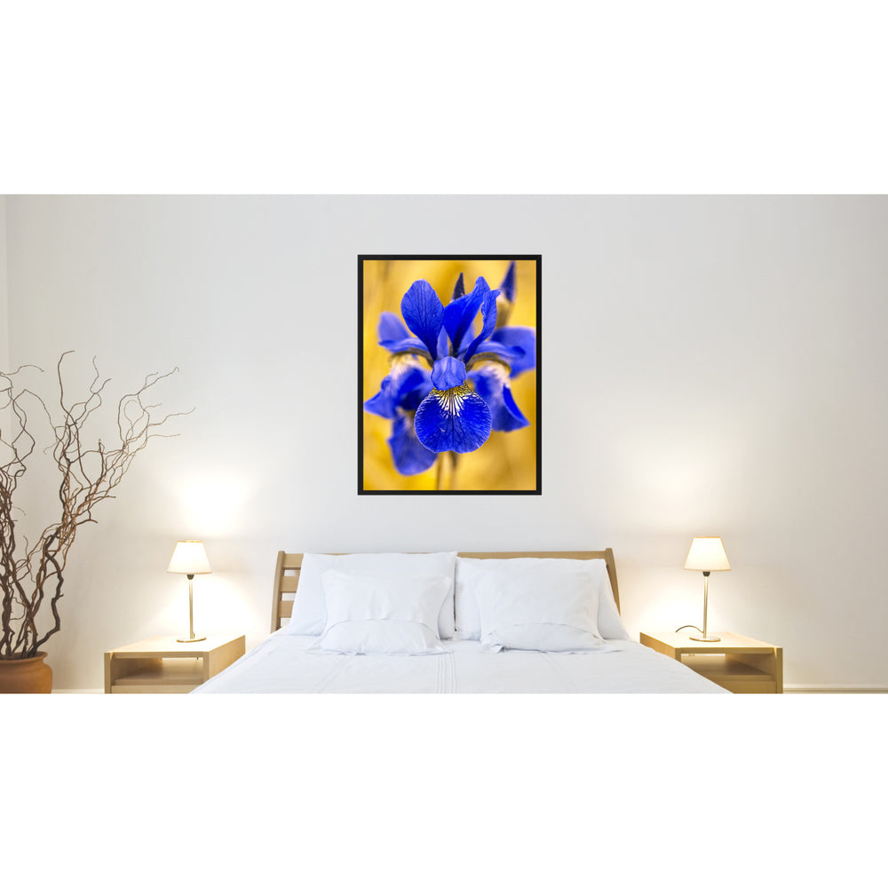 Blue Iris Flower Framed Canvas Print  Wall Art Image 2