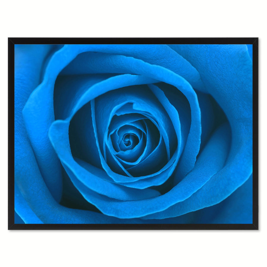 Blue Rose Flower Framed Canvas Print  Wall Art Image 1