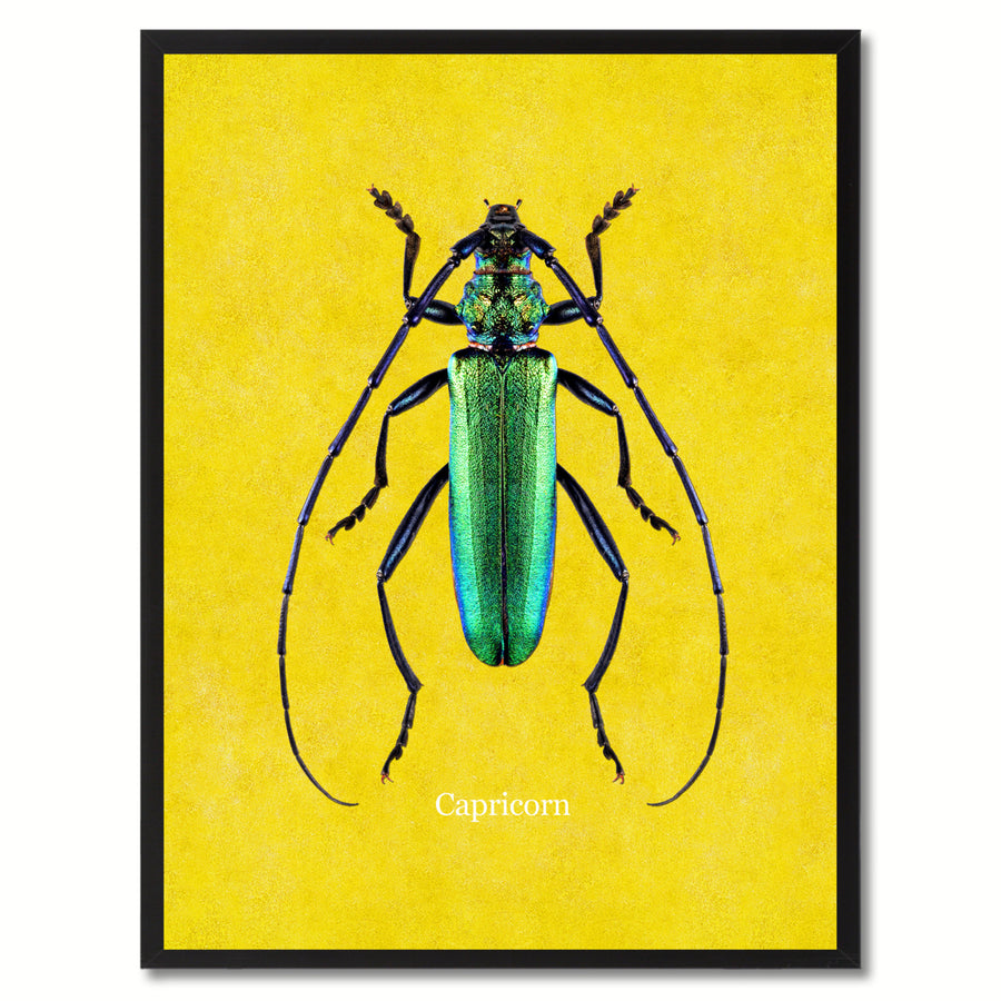 Capricorn Yellow Canvas Print with Picture Frames  Wall Art Gifts Image 1
