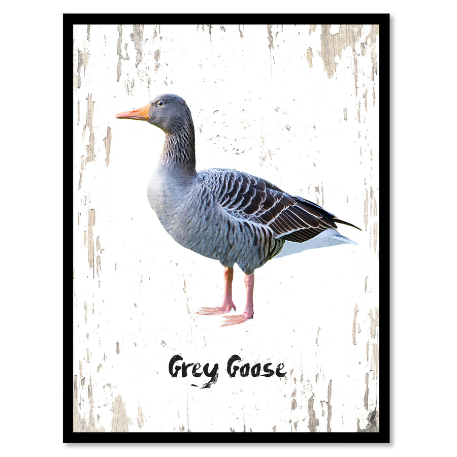 Grey Goose Bird Canvas Print with Black Picture Frame Gift Ideas  Wall Art Decoration Image 1