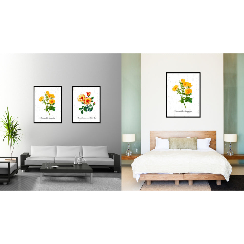 Yellow X alba Semiplena Rose Flower Canvas Print with Picture Frame  Wall Art Gifts Image 2