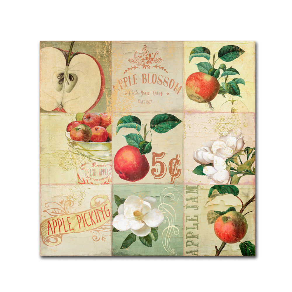 Color Bakery Apple Blossoms IV Canvas Wall Art 14 x 14 Image 2