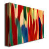 Amy Vangsgard Light through Window Box Canvas Wall Art 35 x 47 Image 2