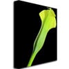 Kathie McCurdy Yellow Calla Canvas Wall Art 35 x 47 Image 2
