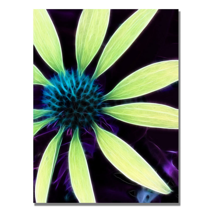 Kathie McCurdy Lime Green Coneflower Canvas Wall Art 35 x 47 Image 1
