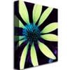 Kathie McCurdy Lime Green Coneflower Canvas Wall Art 35 x 47 Image 2
