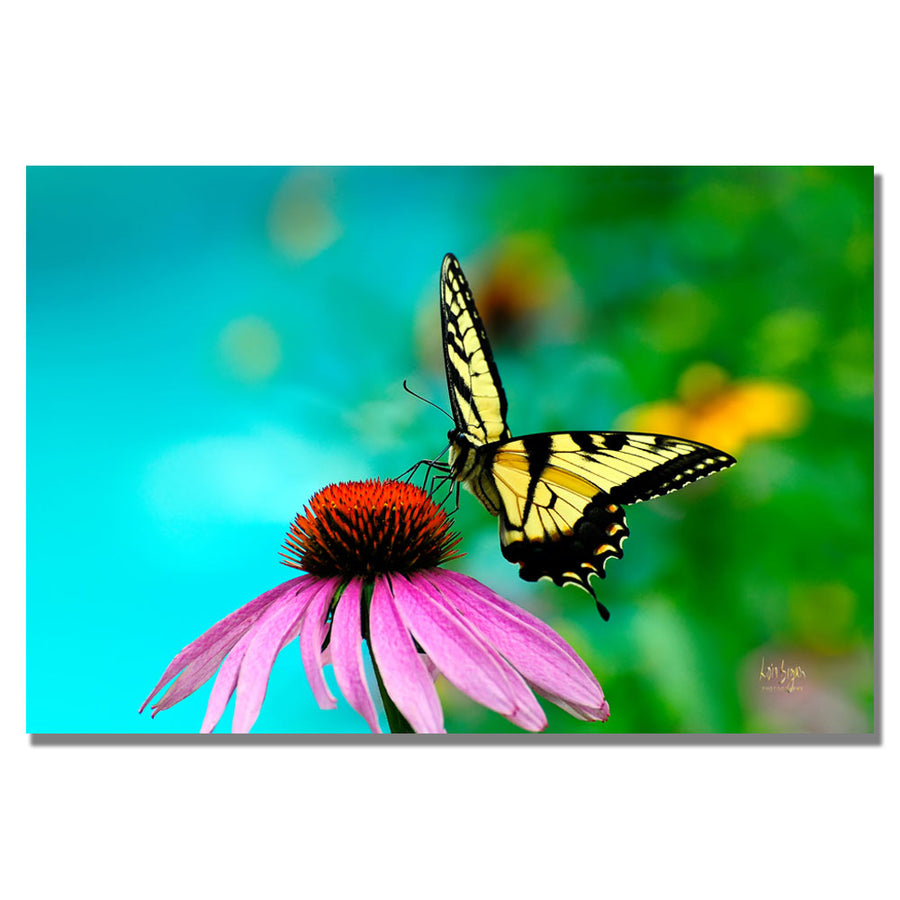 Lois Bryan Butterfly on the Edge Canvas Wall Art 35 x 47 Image 1