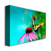 Lois Bryan Butterfly on the Edge Canvas Wall Art 35 x 47 Image 2