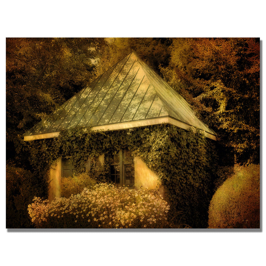 Lois Bryan Forgotten Shed Canvas Wall Art 35 x 47 Image 1