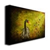 Lois Bryan Goose and Butterflies Canvas Wall Art 35 x 47 Image 2