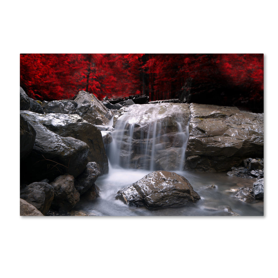 Philippe Sainte-Laudy Red Vison Canvas Wall Art 35 x 47 Image 1