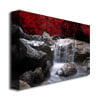 Philippe Sainte-Laudy Red Vison Canvas Wall Art 35 x 47 Image 2