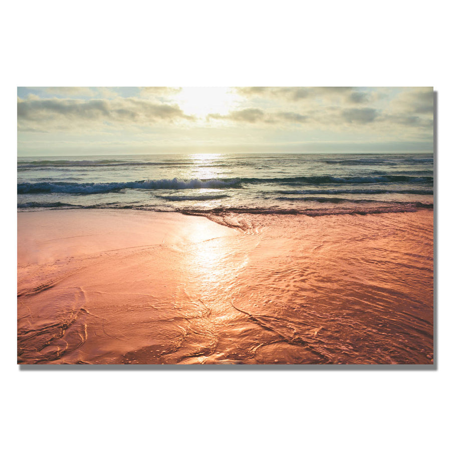 Ariane Moshayedi Sunset Beach Reflections Canvas Wall Art 35 x 47 Image 1