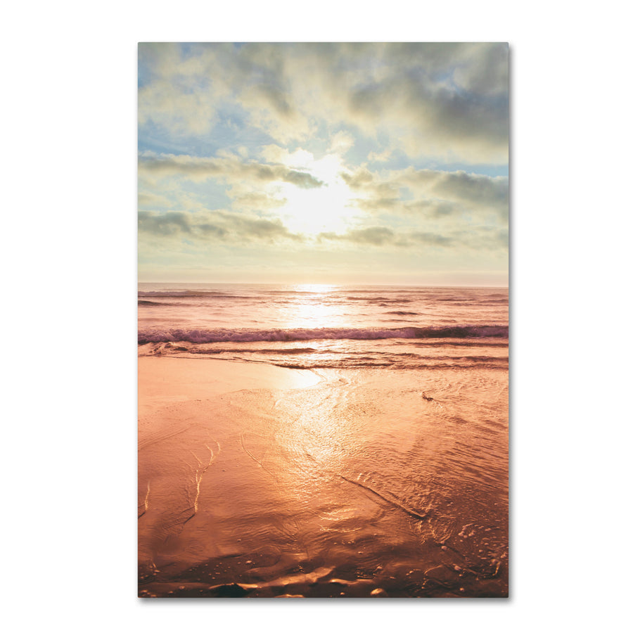 Ariane Moshayedi Sunset Beach Reflections II Canvas Wall Art 35 x 47 Image 1