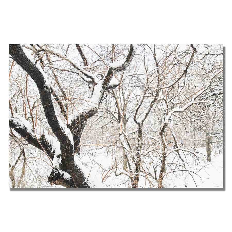 Ariane Moshayedi Snowy Trees Canvas Wall Art 35 x 47 Image 1