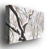 Ariane Moshayedi Snowy Trees Canvas Wall Art 35 x 47 Image 2