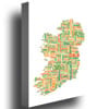 Michael Tompsett Ireland City Map II Canvas Wall Art 35 x 47 Inches Image 2