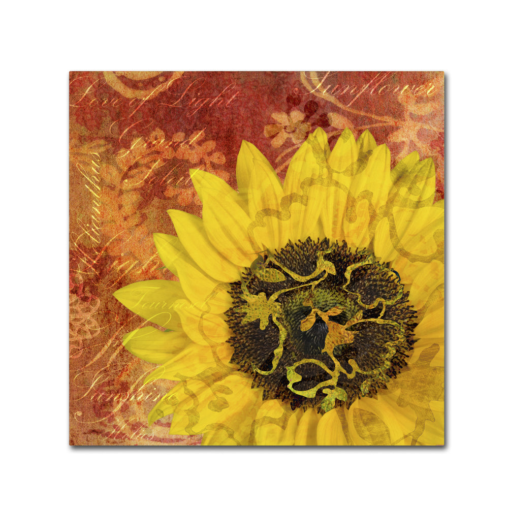 Cora Niele Sunflower - Love of Light Huge Canvas Art 35 x 35 Image 2