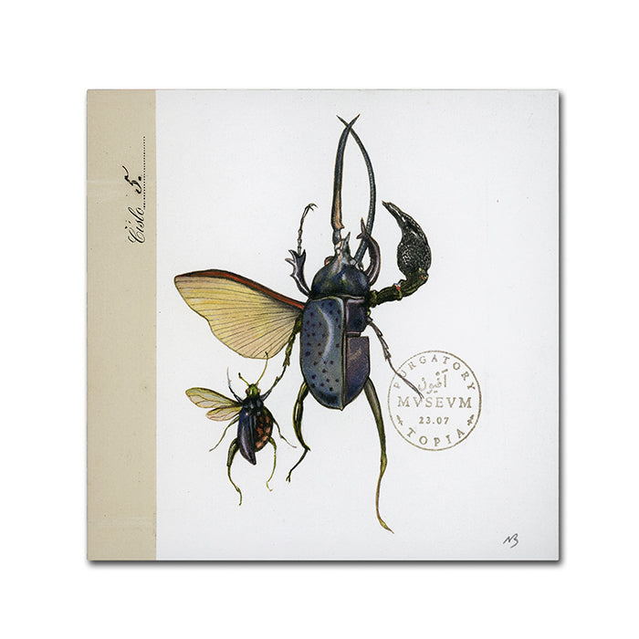 Nick Bantock Morph Insects Huge Canvas Art 35 x 35 Image 1