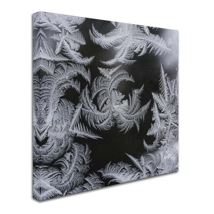 Kurt Shaffer Window Frost Pattern 2 Huge Canvas Art 35 x 35 Image 3