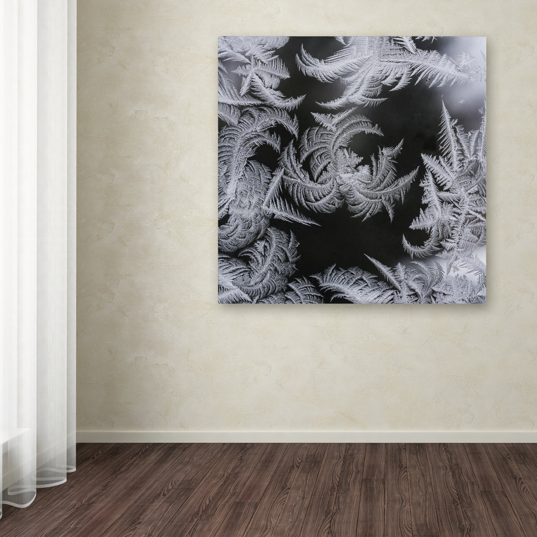 Kurt Shaffer Window Frost Pattern 2 Huge Canvas Art 35 x 35 Image 4