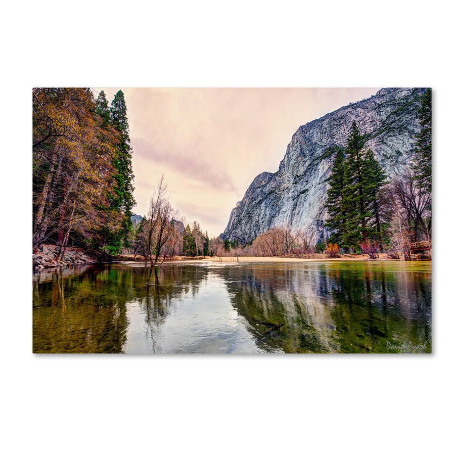 David Ayash Yosemite Valley Canvas Art 16 x 24 Image 1