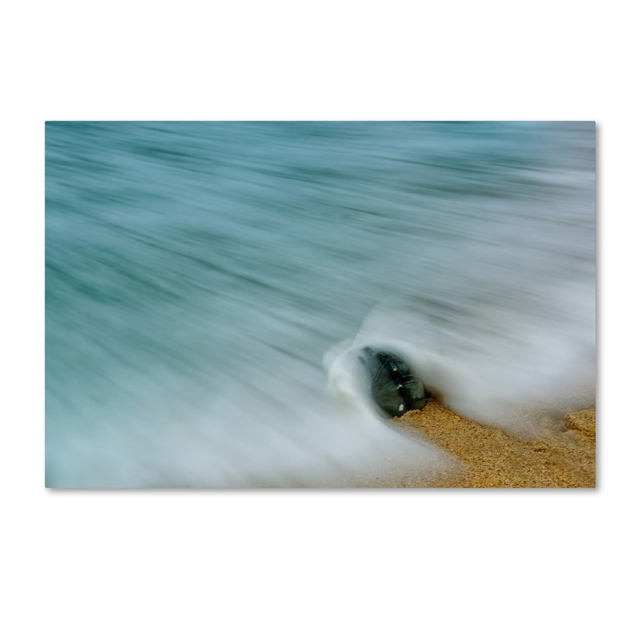 PIPA Fine Art Whelk Seashell and Misty Wave Canvas Art 16 x 24 Image 1