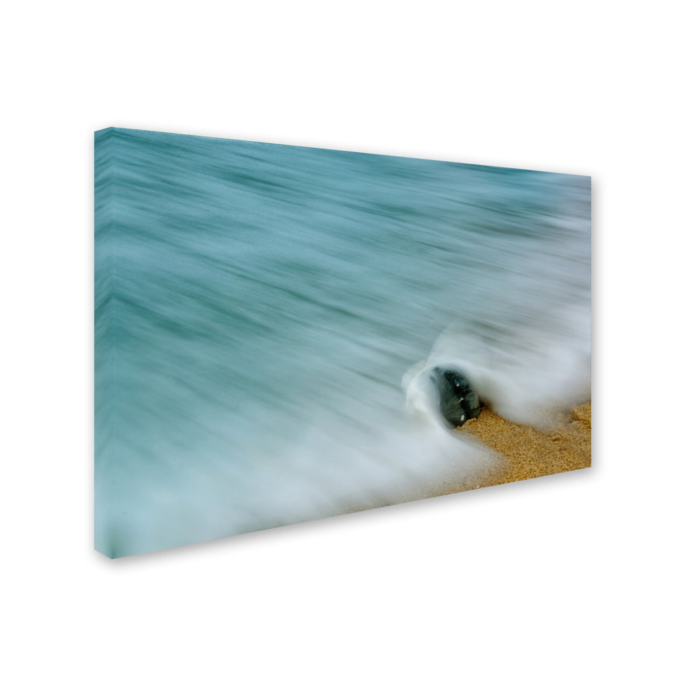 PIPA Fine Art Whelk Seashell and Misty Wave Canvas Art 16 x 24 Image 2