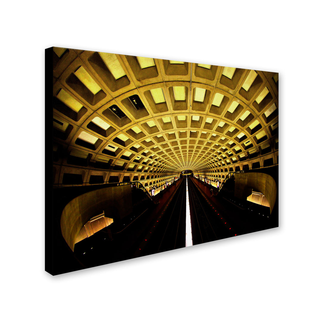 CATeyes Lines Canvas Art 16 x 24 Image 2