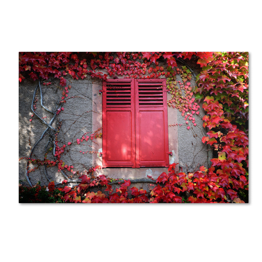 Philippe Sainte-Laudy Red Windowpane Canvas Art 16 x 24 Image 1