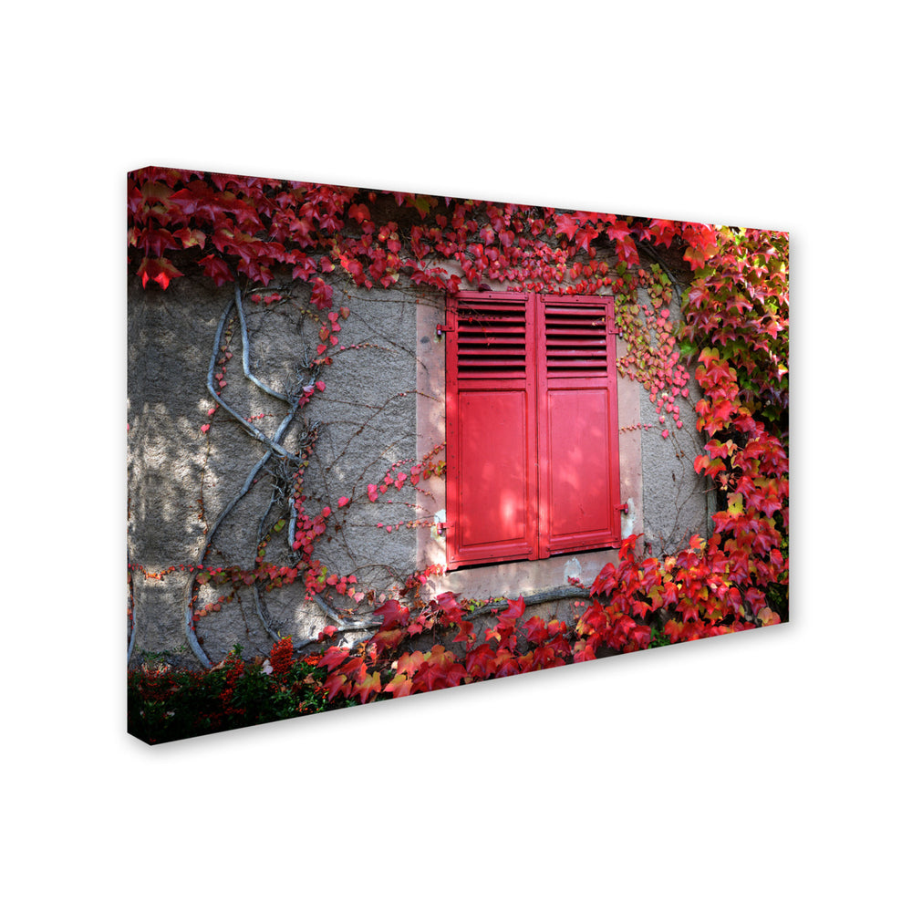 Philippe Sainte-Laudy Red Windowpane Canvas Art 16 x 24 Image 2