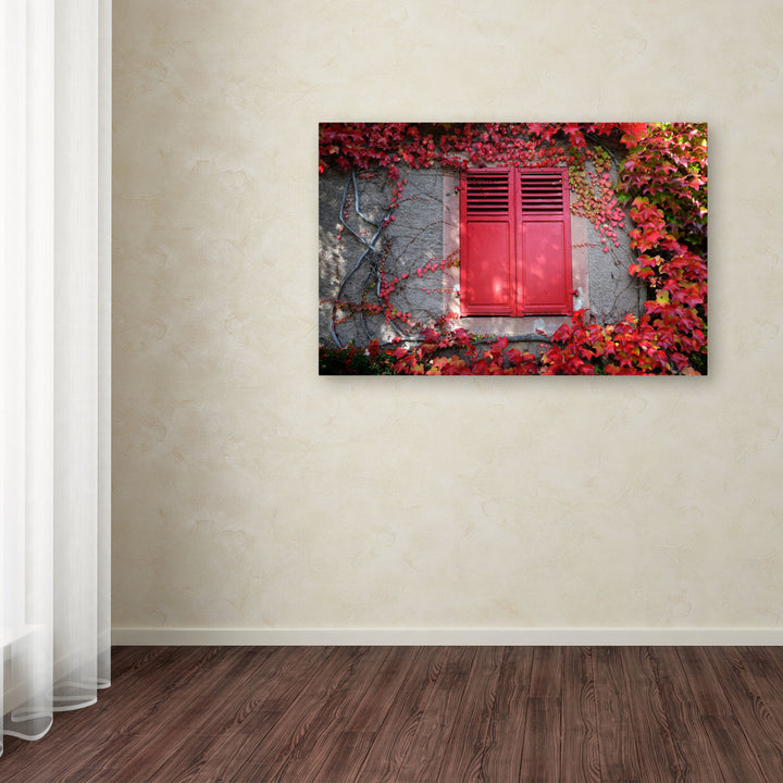 Philippe Sainte-Laudy Red Windowpane Canvas Art 16 x 24 Image 3
