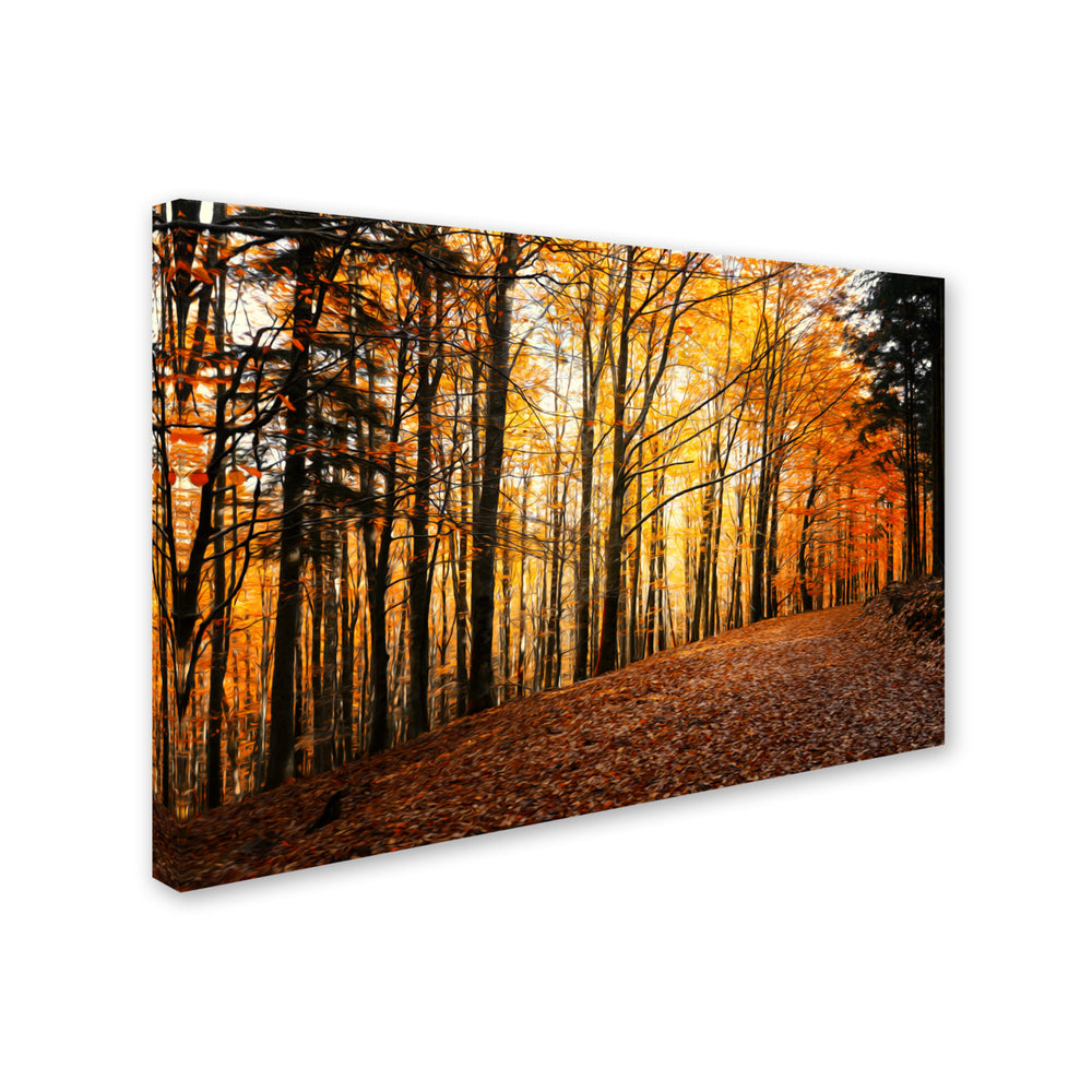 Philippe Sainte-Laudy Autumn Leaves Pathway Canvas Art 16 x 24 Image 2