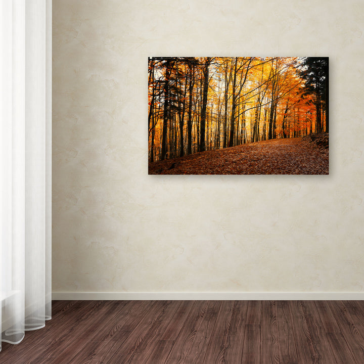 Philippe Sainte-Laudy Autumn Leaves Pathway Canvas Art 16 x 24 Image 3