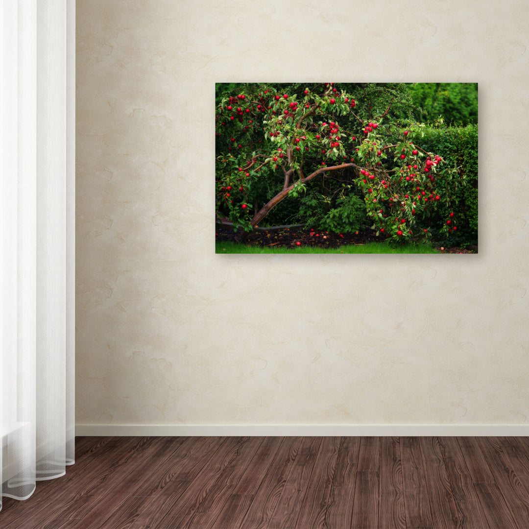 Philippe Sainte-Laudy The Apple Tree Canvas Art 16 x 24 Image 3