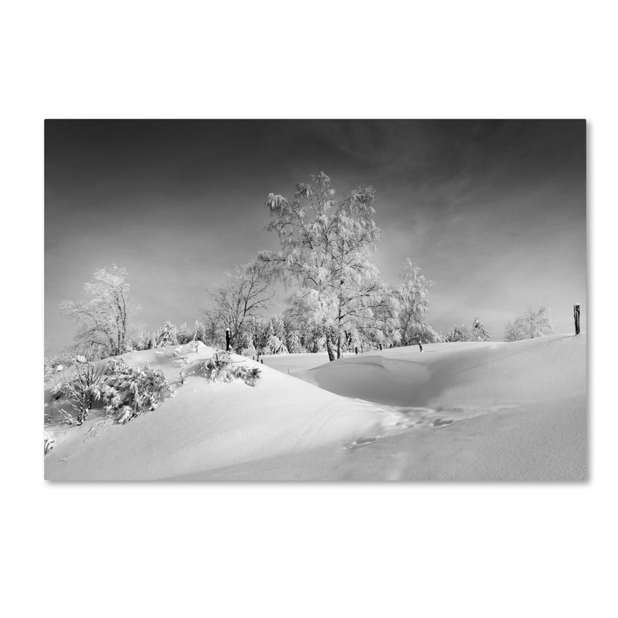 Philippe Sainte-Laudy Dressed For Winter BandW Canvas Art 16 x 24 Image 1