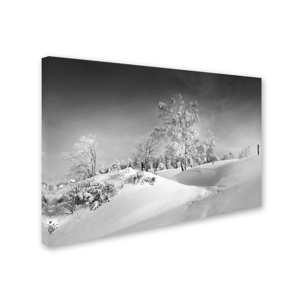 Philippe Sainte-Laudy Dressed For Winter BandW Canvas Art 16 x 24 Image 2