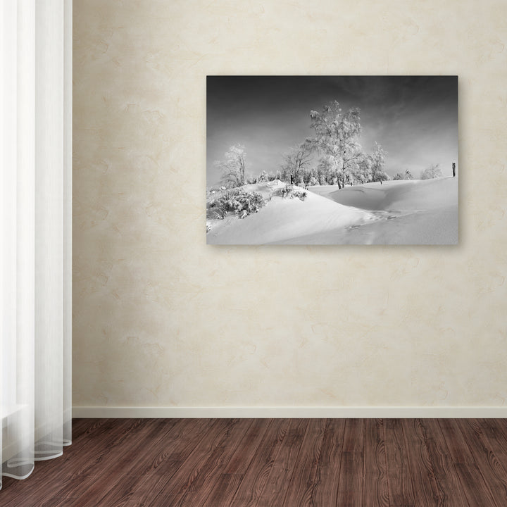 Philippe Sainte-Laudy Dressed For Winter BandW Canvas Art 16 x 24 Image 3