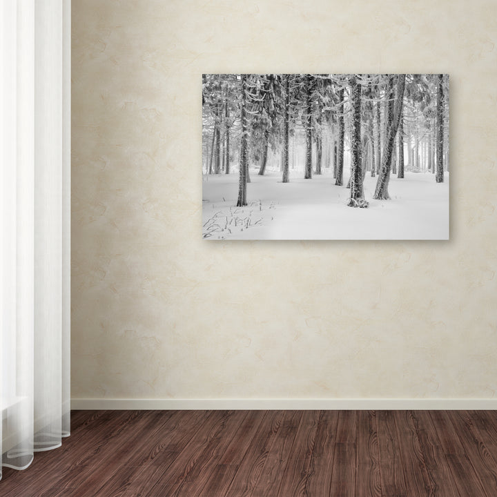 Philippe Sainte-Laudy Frozen World Canvas Art 16 x 24 Image 3
