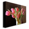 David Lloyd Glover Pink Tulips in Glass Canvas Art 18 x 24 Image 2