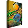 Kurt Shaffer Two Tropical Fish Canvas Art 18 x 24 Image 2