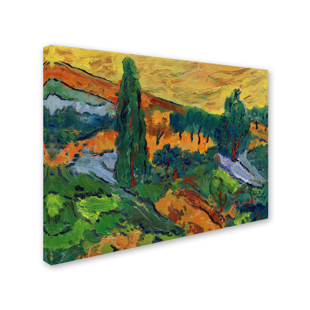 Manor Shadian Sunset Ends a Summer Day Canvas Art 18 x 24 Image 2