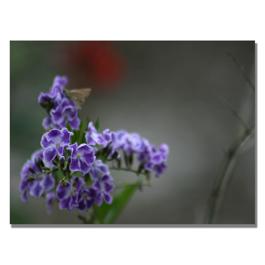 Patty Tuggle Purple Flowers and Moth Canvas Art 18 x 24 Image 1
