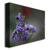 Patty Tuggle Purple Flowers and Moth Canvas Art 18 x 24 Image 2