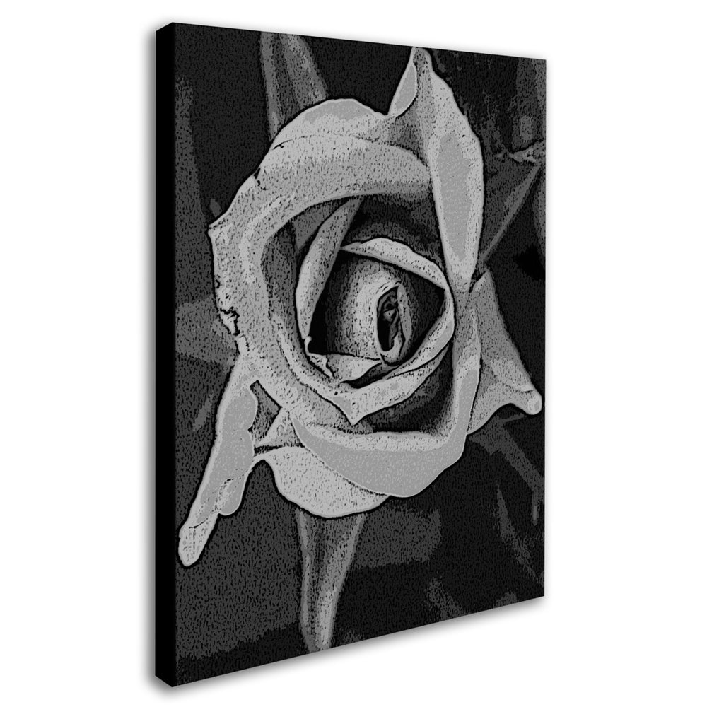 Patty Tuggle Black and White Rose Canvas Art 18 x 24 Image 2
