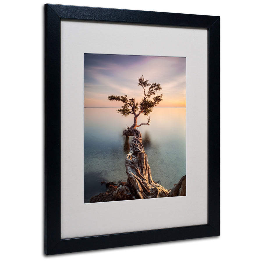 Moises Levy Water Tree III Black Wooden Framed Art 18 x 22 Inches Image 1