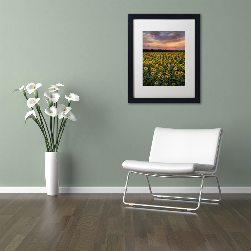 Michael Blanchette Photography Sunflowers Black Wooden Framed Art 18 x 22 Inches Image 2