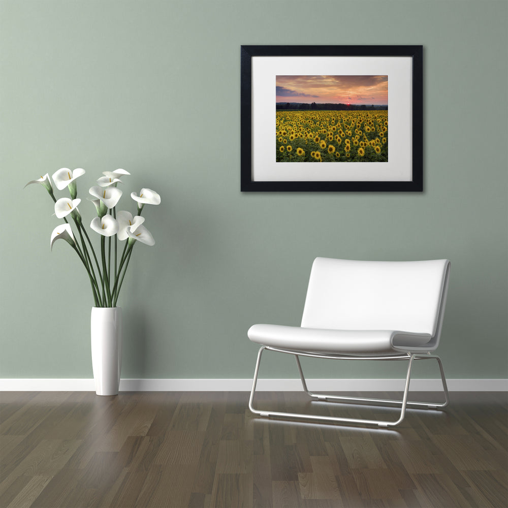 Michael Blanchette Photography Sunflower Taps Black Wooden Framed Art 18 x 22 Inches Image 2