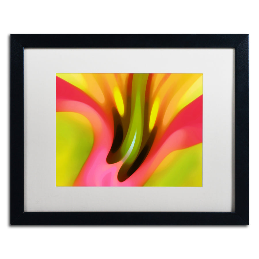 Amy Vangsgard Pink Lily Black Wooden Framed Art 18 x 22 Inches Image 1