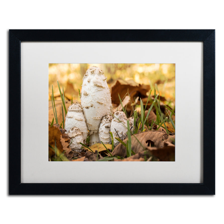 Jason Shaffer Autumn Mushrooms Black Wooden Framed Art 18 x 22 Inches Image 1